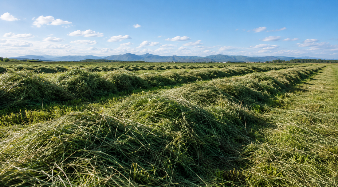 Why Choose Pacific Northwest Hay?