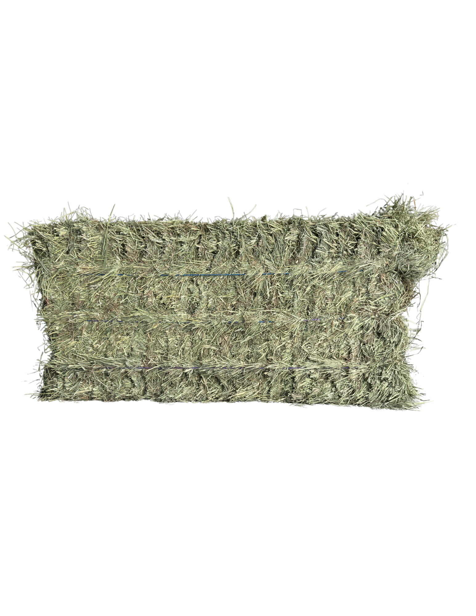 Washington Premium 2nd Cut Timothy