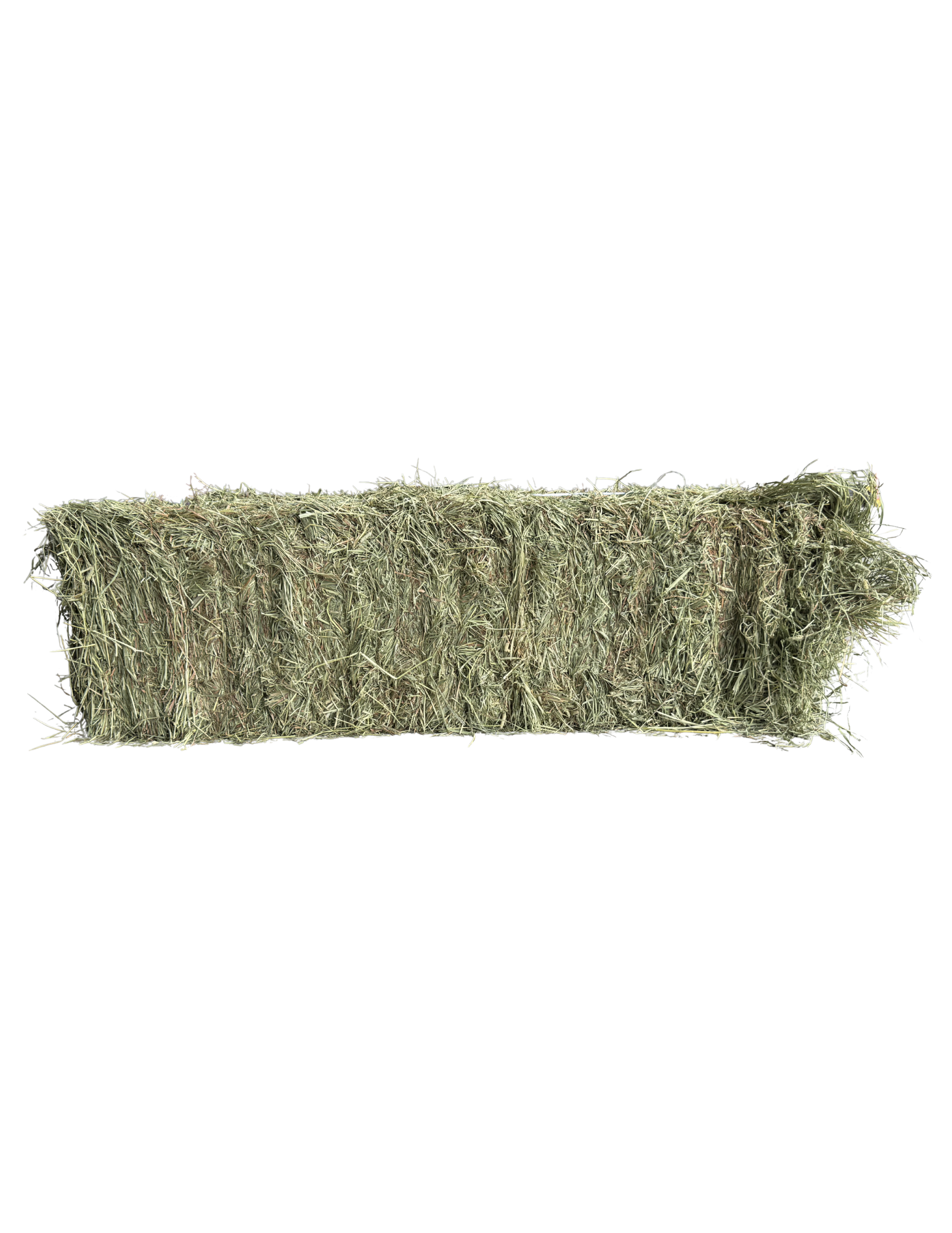 Washington Premium 2nd Cut Timothy