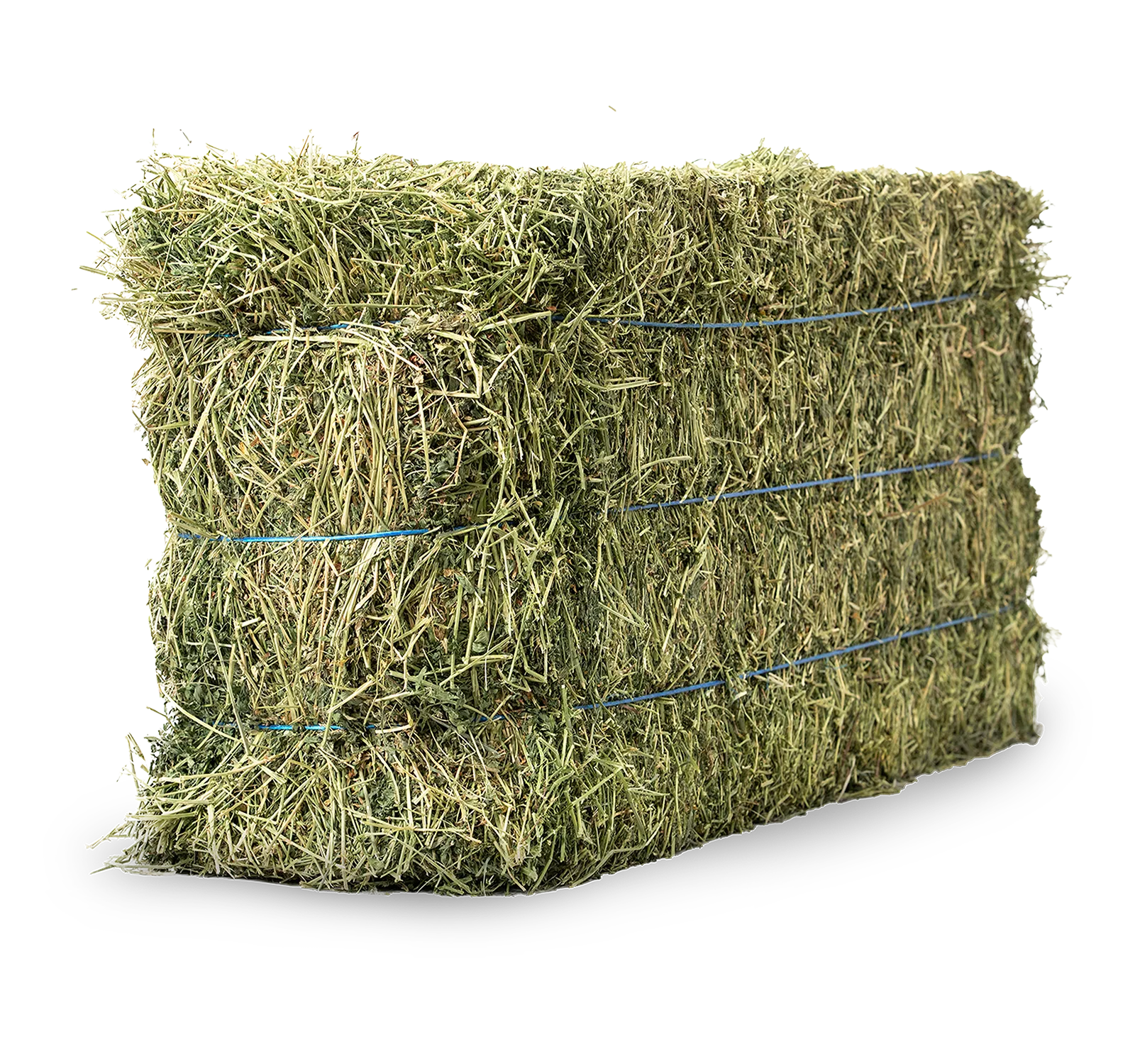 Washington Premium Alfalfa