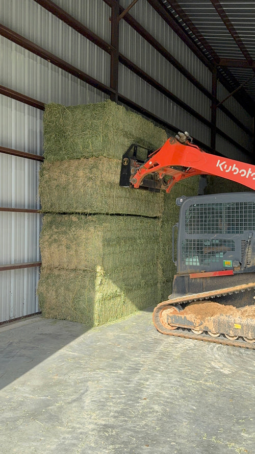 California Alfalfa – 3' x 4' x 8' Bale