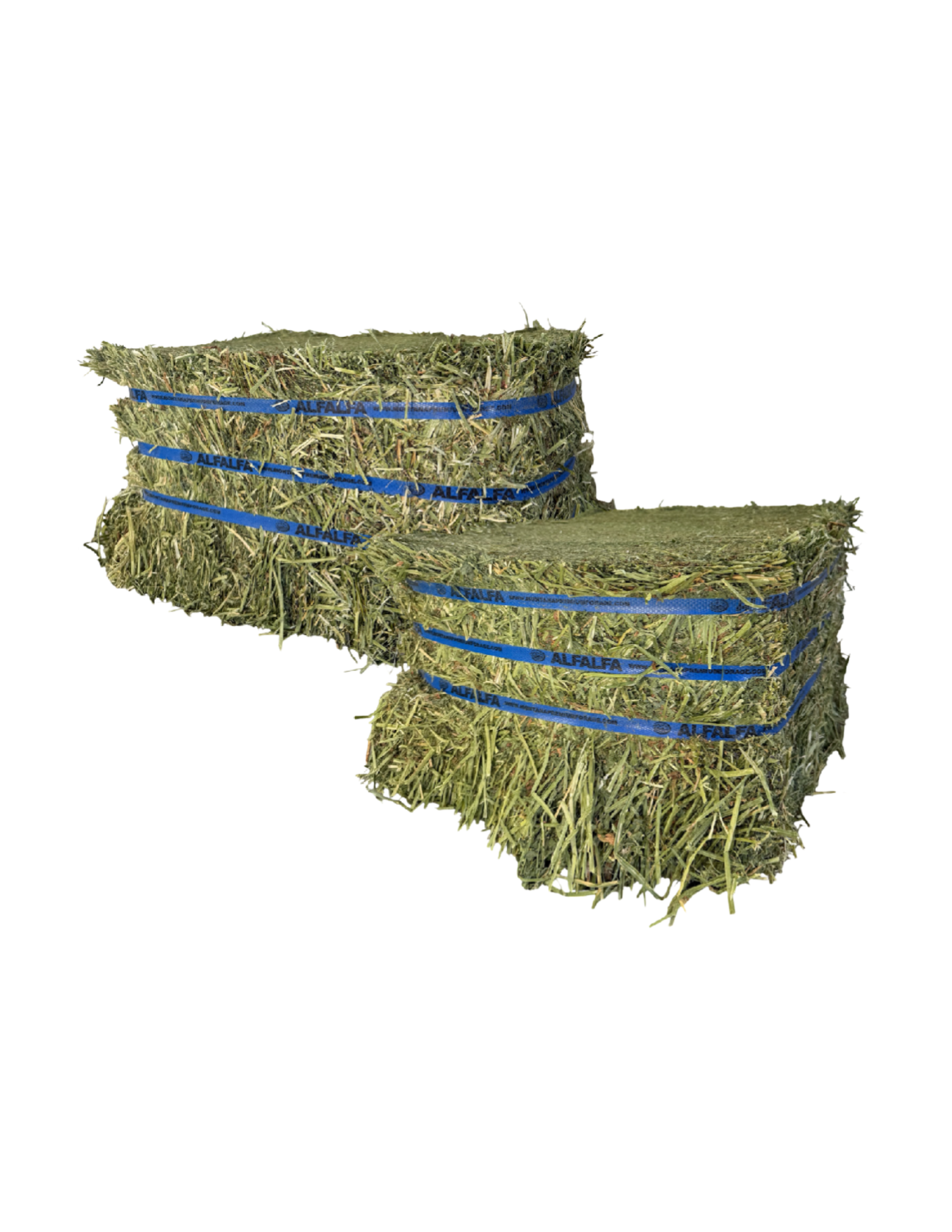 Premium Alfalfa Compressed Bale