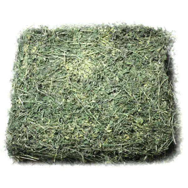 Washington Premium Alfalfa