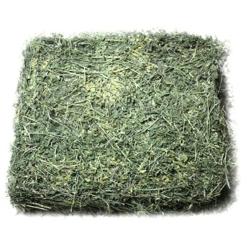 Washington Premium Alfalfa