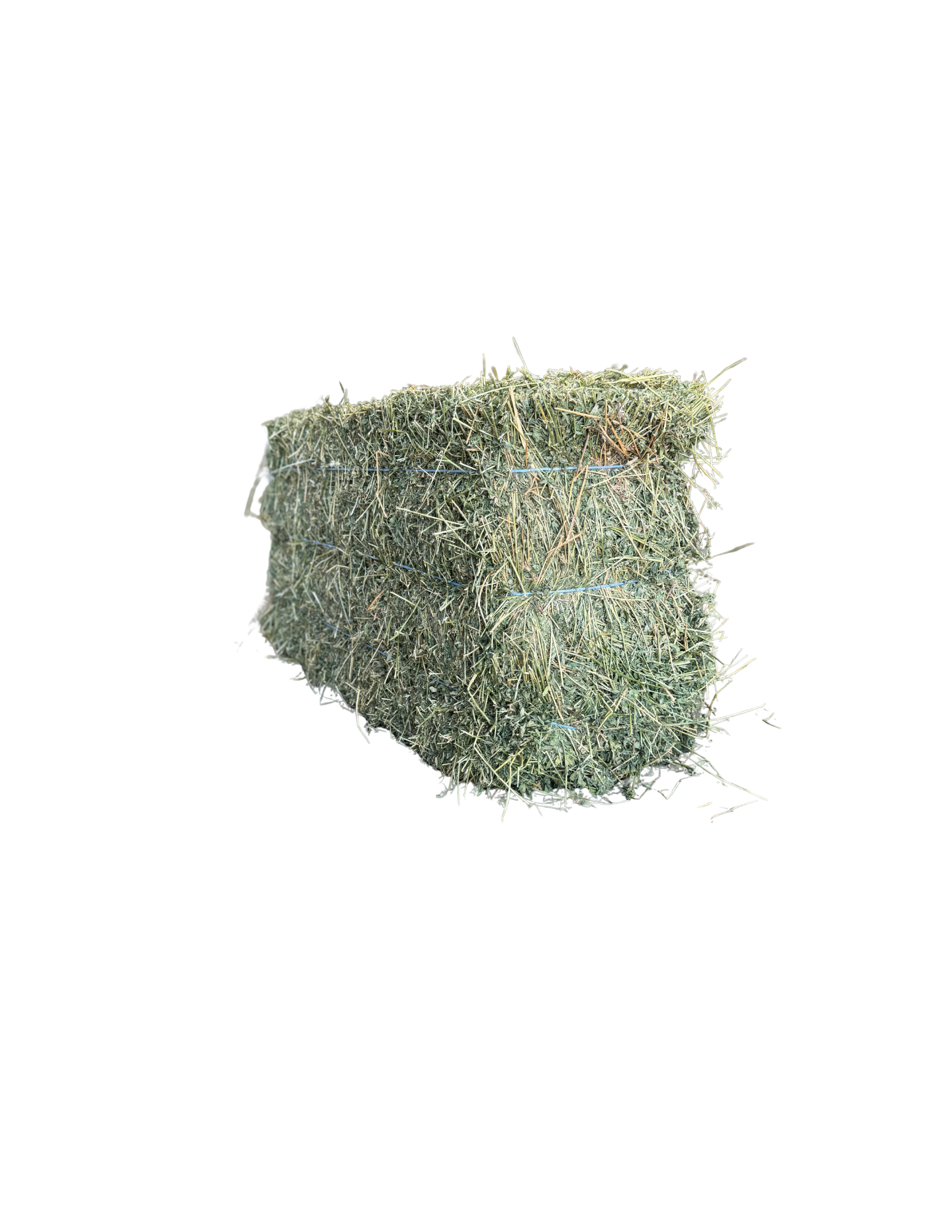 California Alfalfa