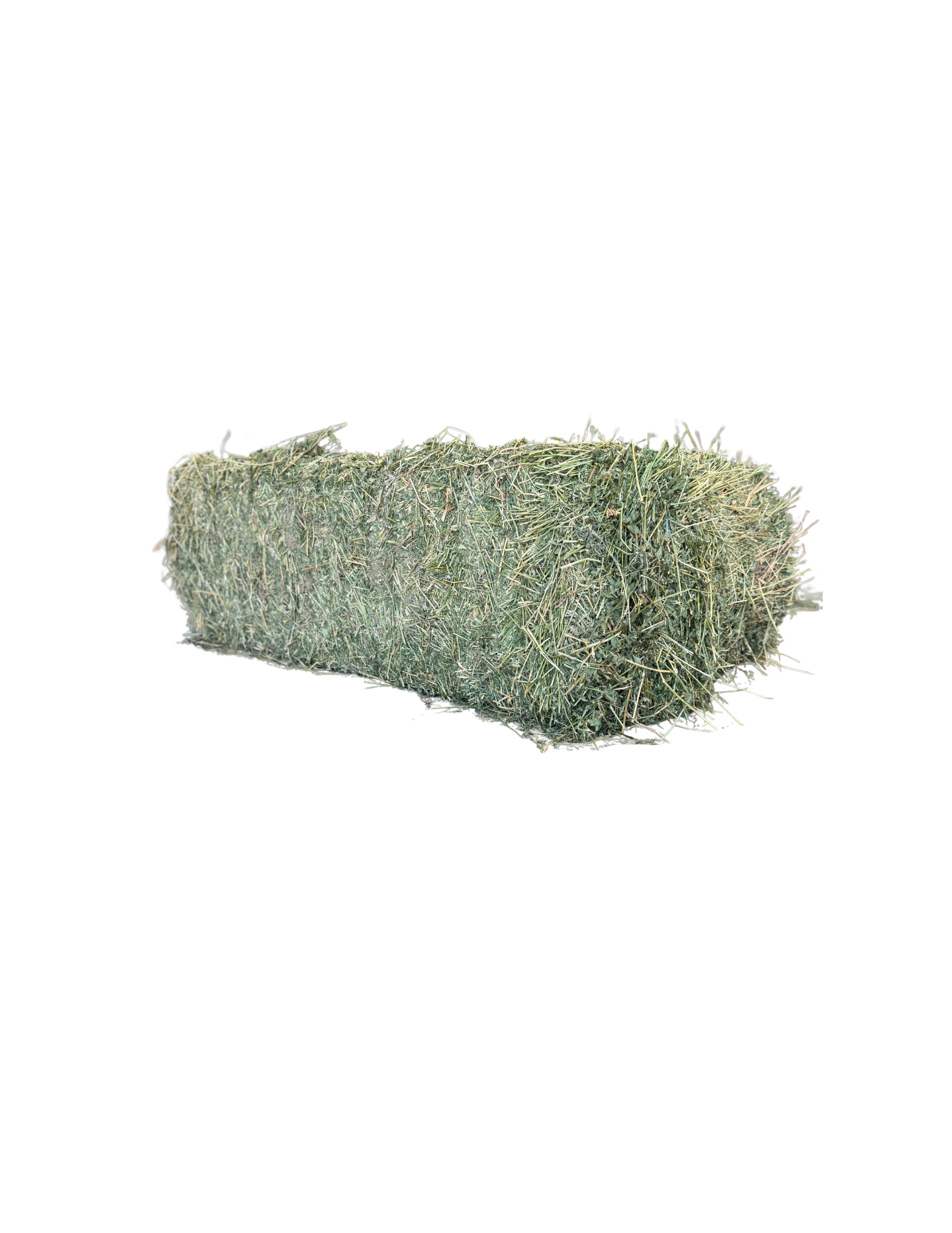 California Alfalfa