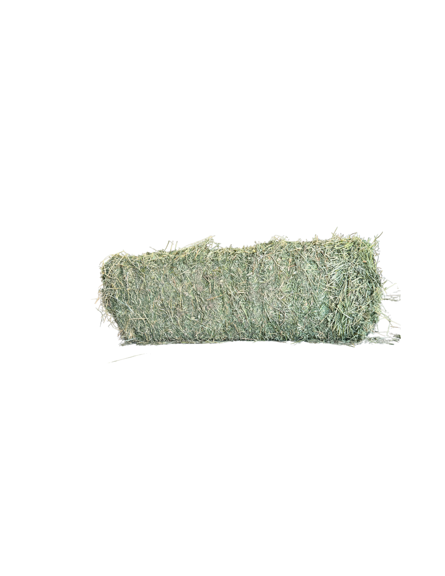 California Alfalfa