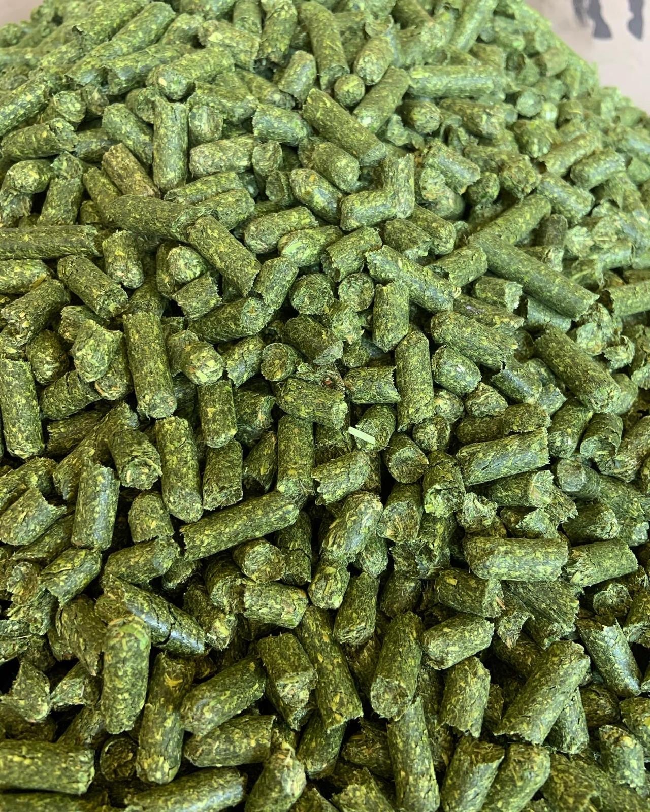 Montana Premium Forage Alfalfa Pellets