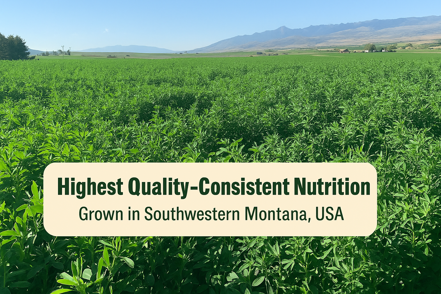 Montana Premium Forage Alfalfa Pellets