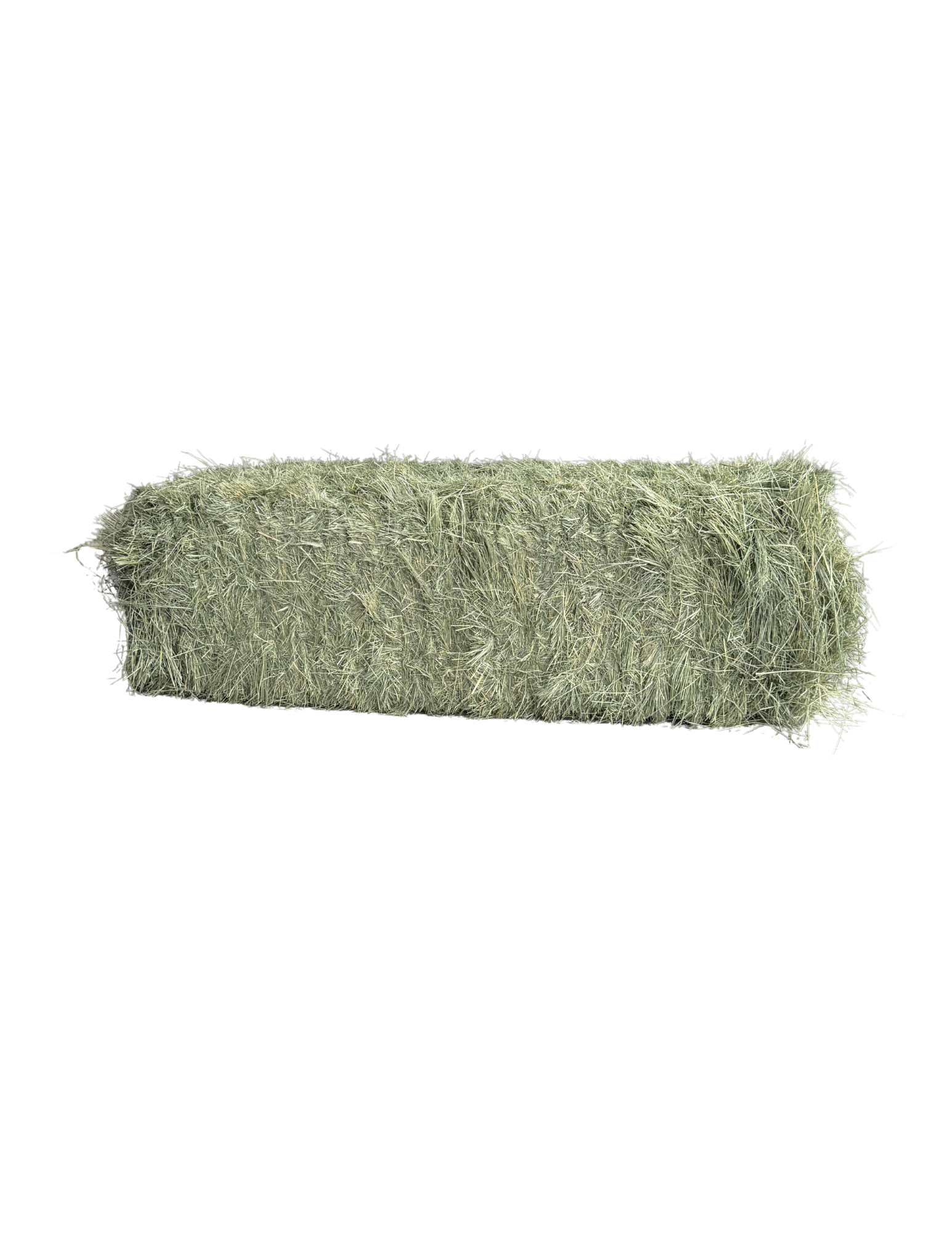 Teff Grass