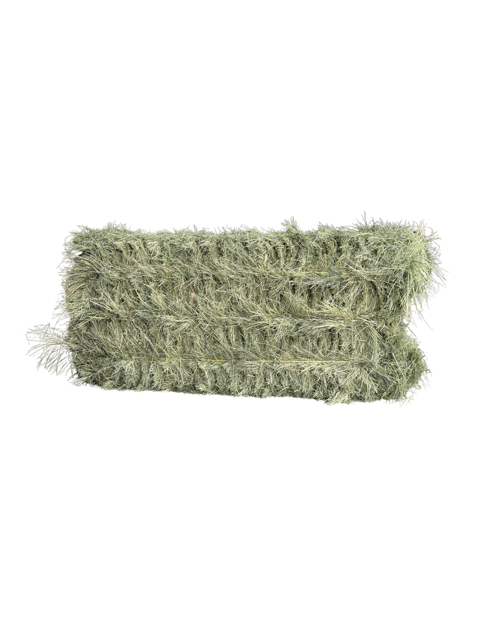 Teff Grass